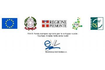 G.A.L. Escartons e Valli Valdesi S.C.A.R.L.